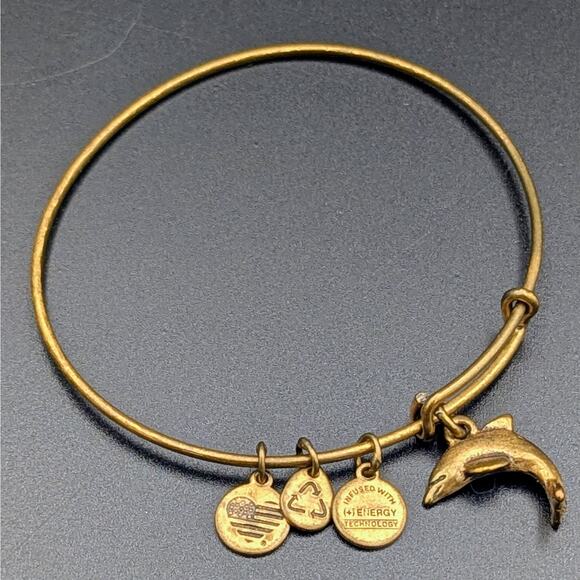 Alex and Ani Charm Bracelet Lot (6 Pieces) - Picture 7 of 8